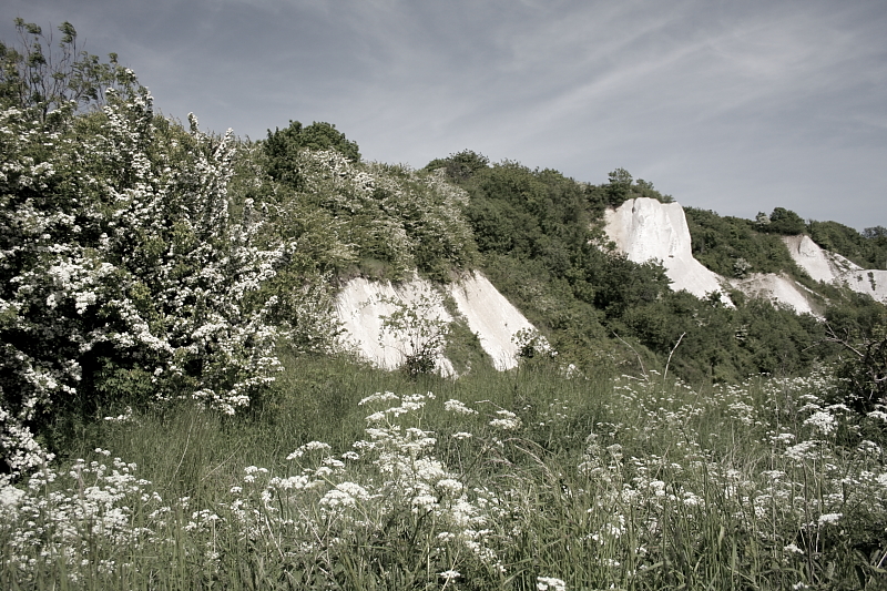 Kreidefelsen Jasmund - Nationalpark Jasmund auf der Insel Rgen